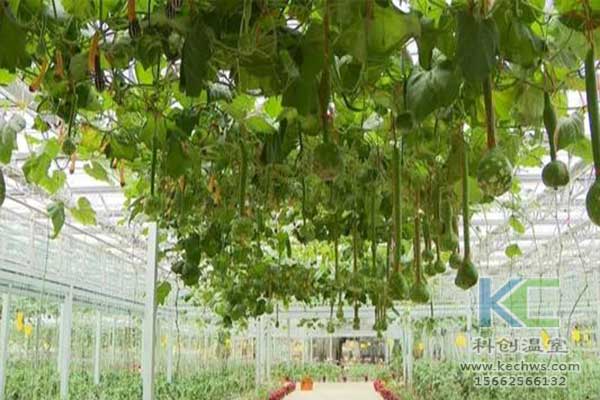 無(wú)土栽培，無(wú)土栽培技術(shù)，無(wú)土栽培設(shè)備