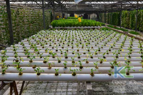 無土栽培，無土栽培技術，無土栽培設備