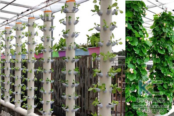 無土栽培，無土栽培技術(shù)，無土栽培設(shè)備