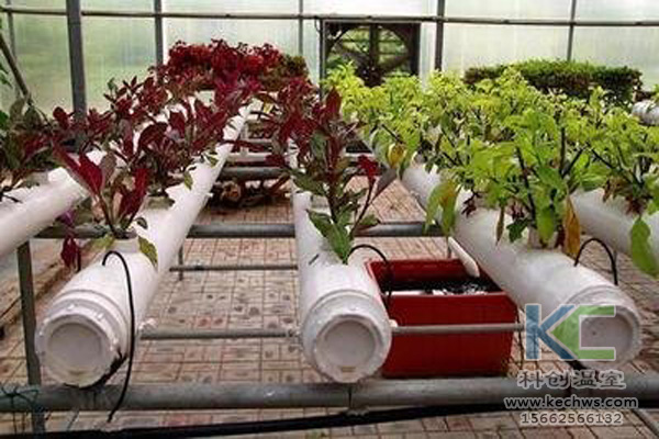 無土栽培,無土栽培技術(shù),無土栽培設(shè)備