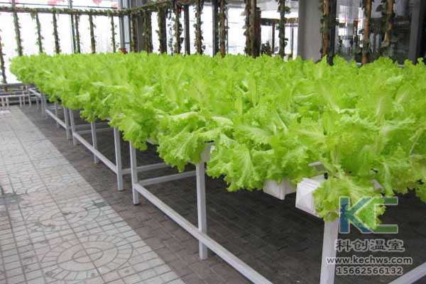 無土栽培,無土栽培技術,無土栽培設備