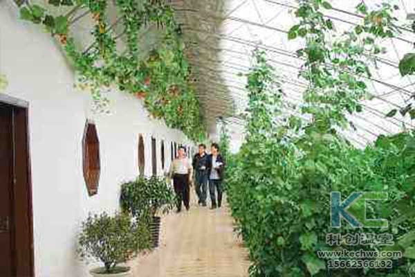 無土栽培，無土栽培技術，無土栽培設備