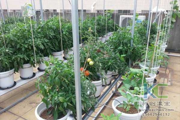 無(wú)土栽培，無(wú)土栽培技術(shù)，無(wú)土栽培設(shè)備
