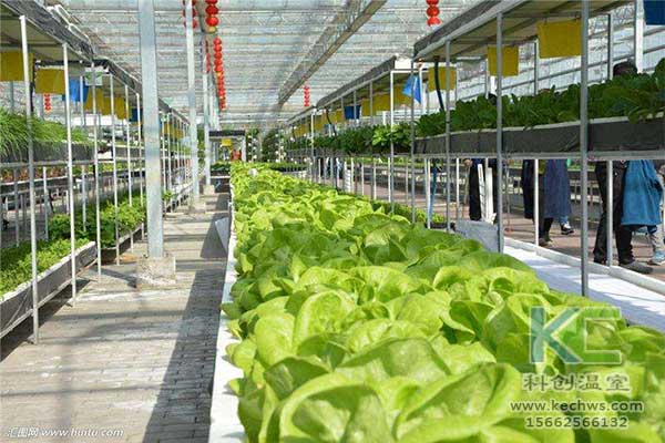 無土栽培，無土栽培技術(shù)，無土栽培設(shè)備