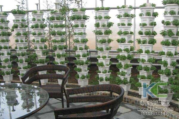 無土栽培,無土栽培技術,無土栽培設備