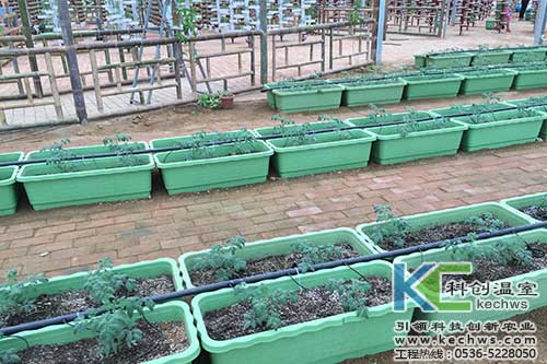 無(wú)土栽培，無(wú)土栽培技術(shù)，盆式