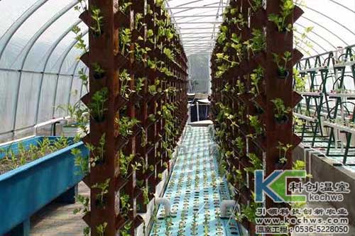 無土栽培,無土栽培技術,無土栽培設備
