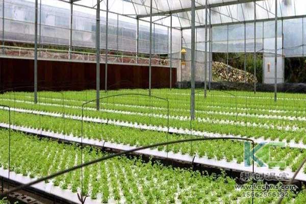 無土栽培，無土栽培技術，無土栽培設備