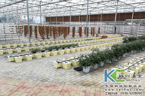 無(wú)土栽培，無(wú)土栽培技術(shù)，盆式