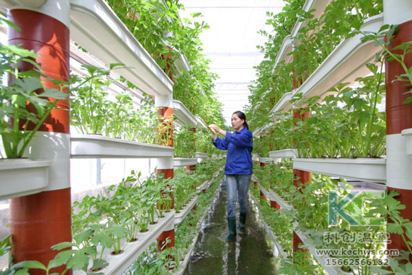 無(wú)土栽培,無(wú)土栽培技術(shù),無(wú)土栽培設(shè)備