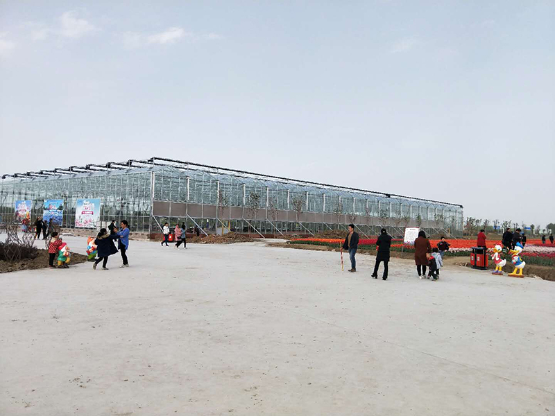 無土栽培,無土栽培技術,無土栽培設備