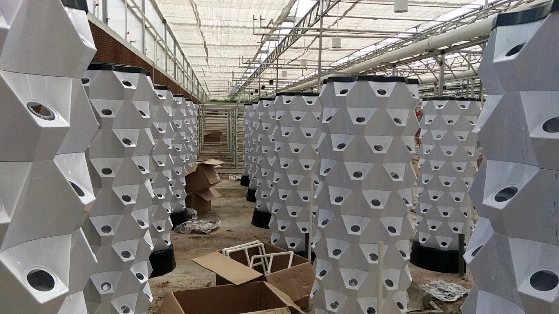 無土栽培,無土栽培技術,無土栽培設備