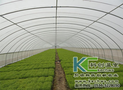連棟溫室大棚