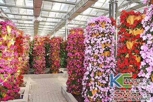 無土栽培,無土栽培技術(shù),無土栽培設(shè)備