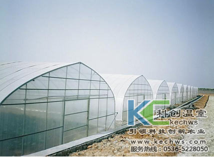 無土栽培,無土栽培技術,無土栽培設備