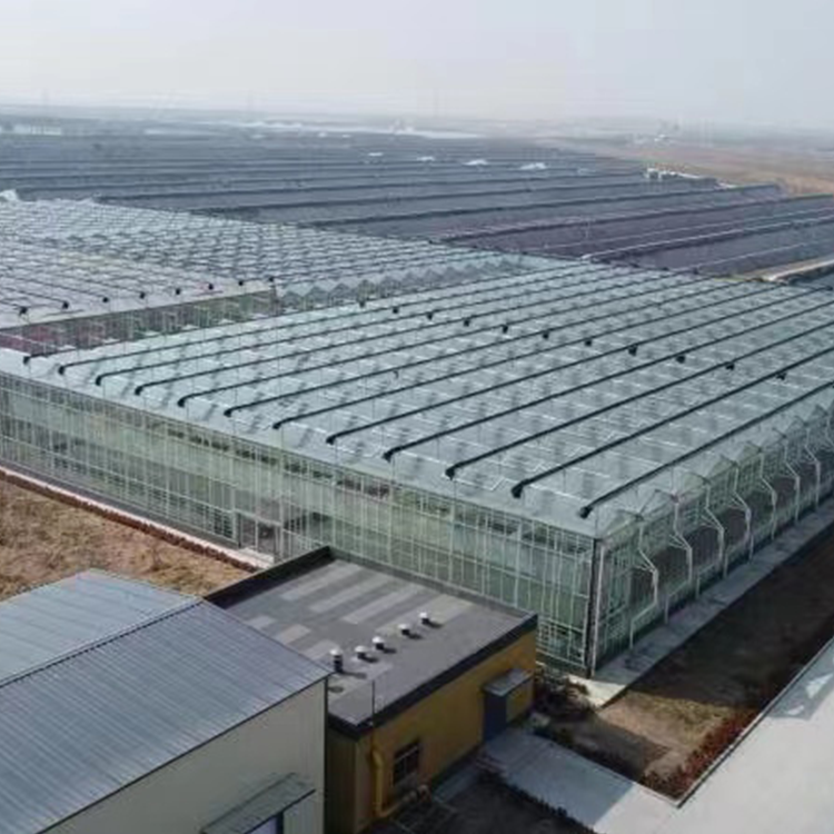 無土栽培,無土栽培技術,無土栽培設備