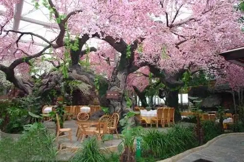 無土栽培，無土栽培技術，無土栽培設備