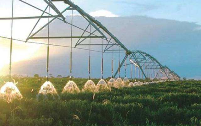 無土栽培，無土栽培技術，無土栽培設備