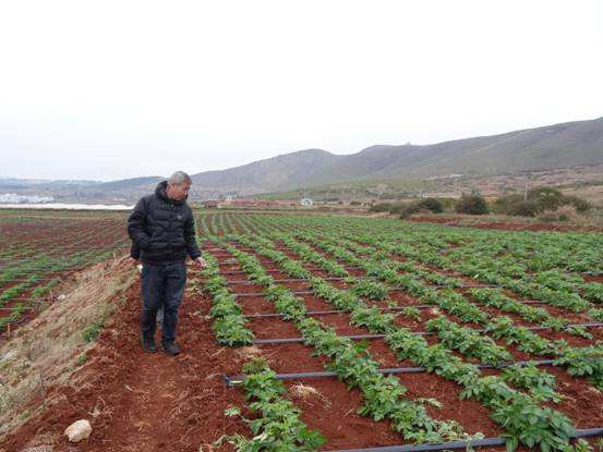 無(wú)土栽培，無(wú)土栽培技術(shù)，無(wú)土栽培設(shè)備