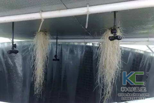 無土栽培，無土栽培技術，無土栽培設備