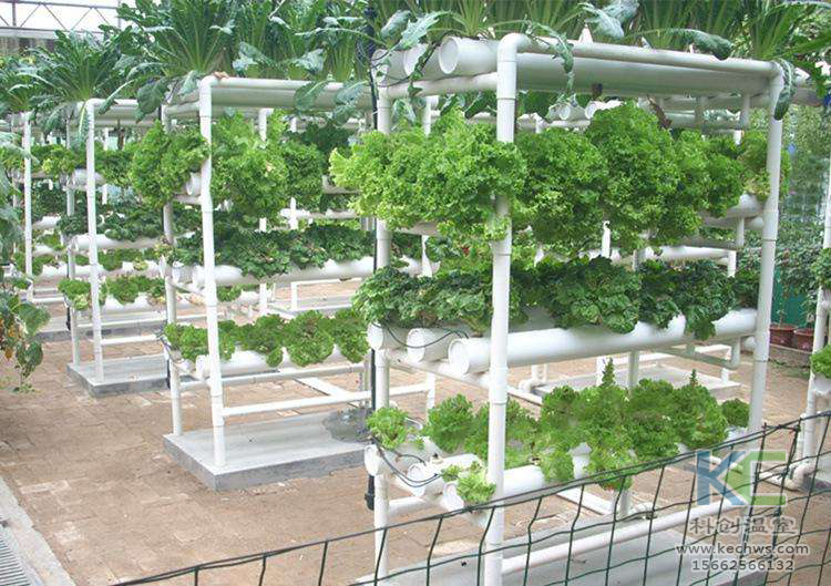 無土栽培，無土栽培技術(shù)，無土栽培設(shè)備