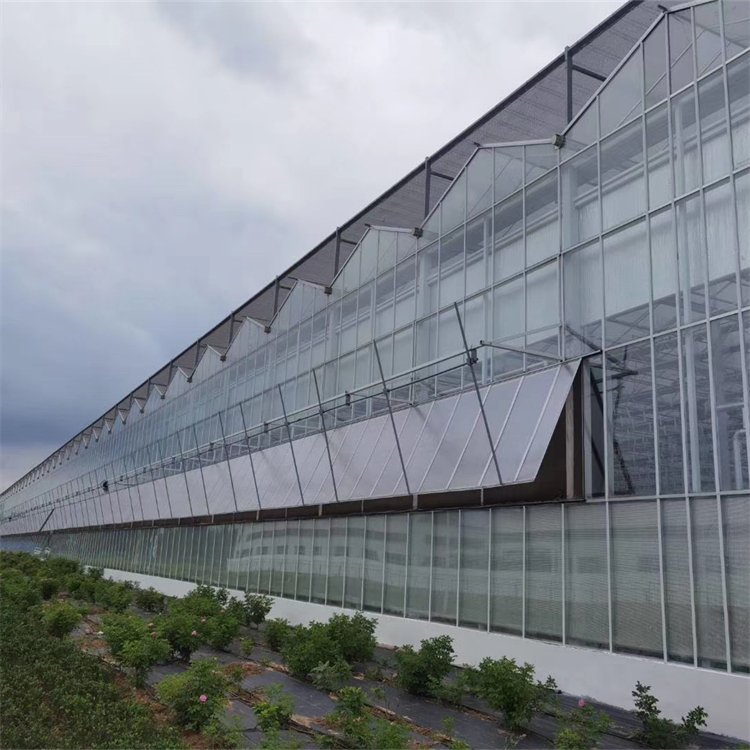 無土栽培,無土栽培技術(shù),無土栽培設(shè)備