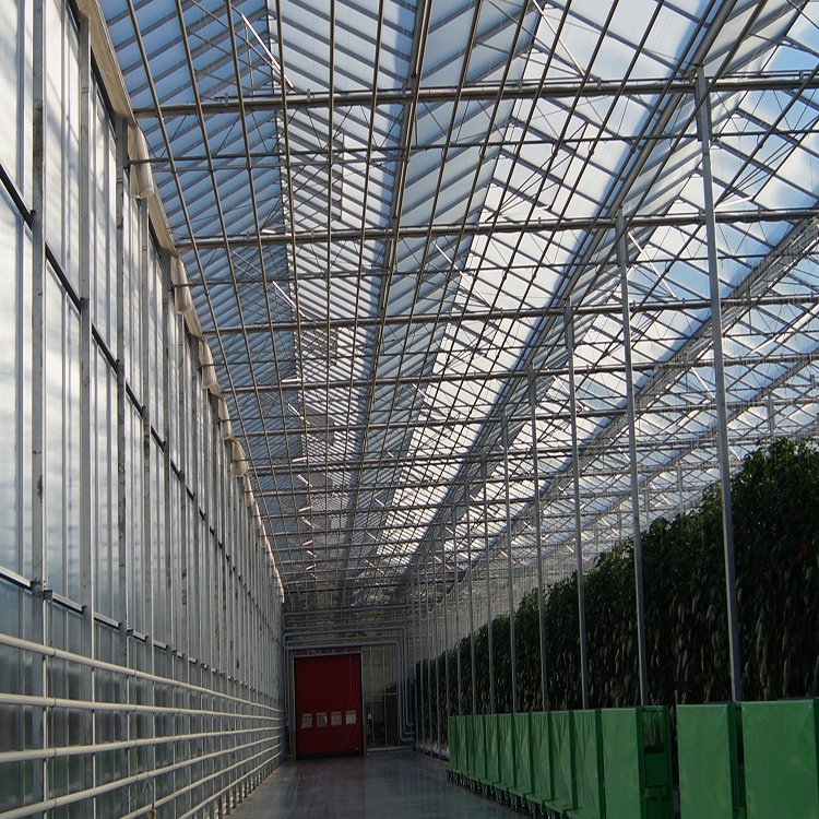 無土栽培,無土栽培技術,無土栽培設備