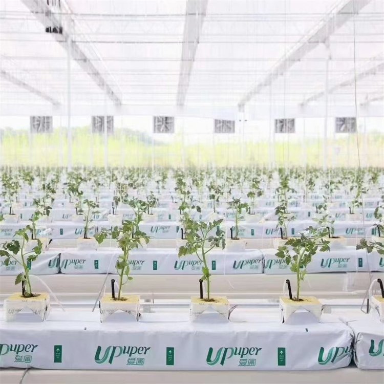 無土栽培，無土栽培技術，無土栽培設備