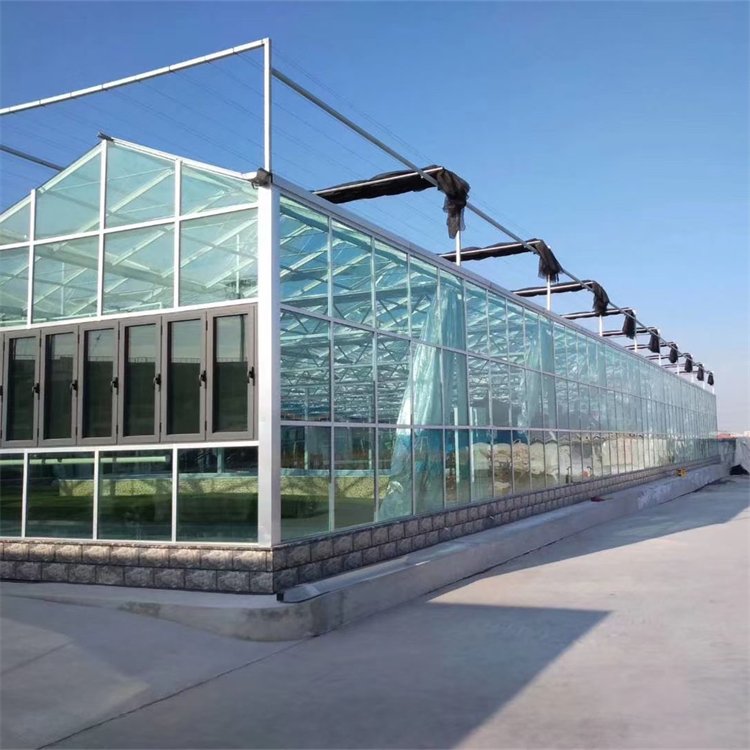 無土栽培,無土栽培技術(shù),無土栽培設(shè)備