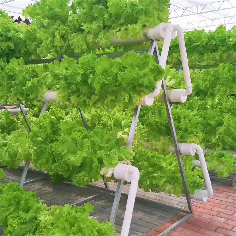 無土栽培，無土栽培技術，無土栽培設備