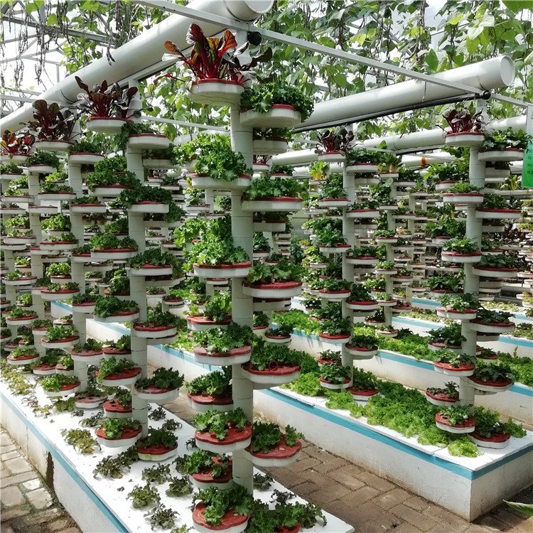 無土栽培，無土栽培技術，無土栽培設備