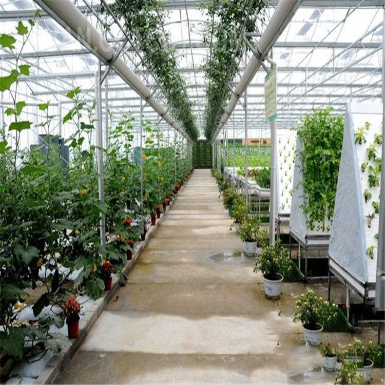 無土栽培，無土栽培技術，無土栽培設備