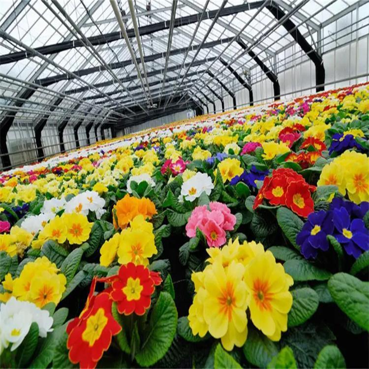 無土栽培，無土栽培技術，無土栽培設備