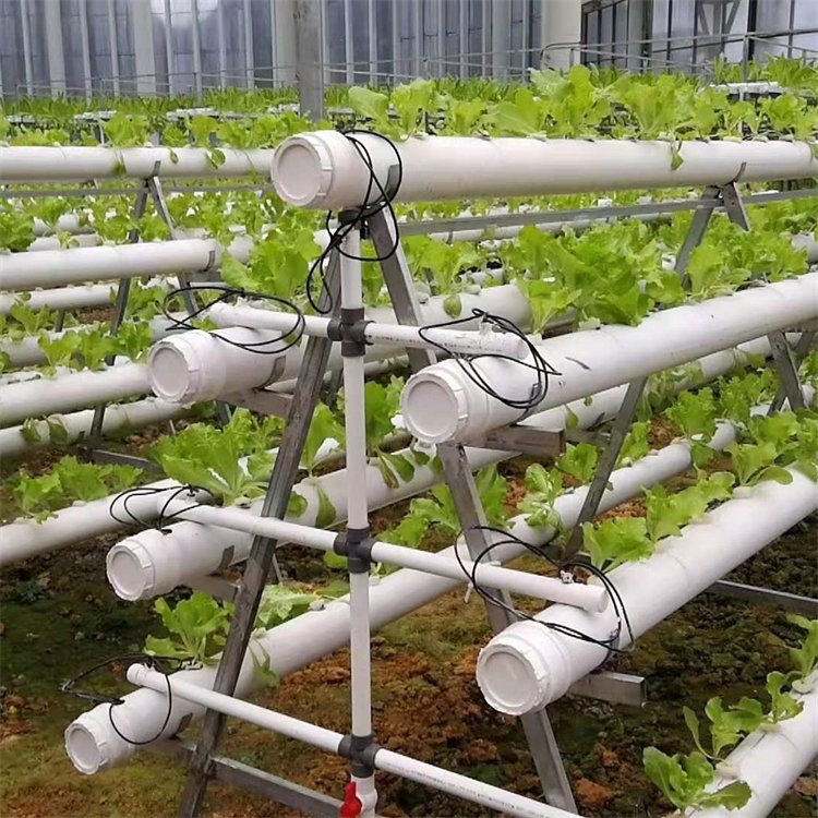 無土栽培，無土栽培技術，無土栽培設備