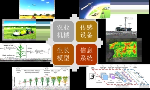 無土栽培,無土栽培技術(shù),無土栽培設(shè)備