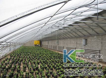 無土栽培，無土栽培技術，無土栽培設備