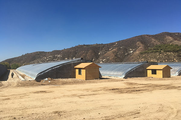 無土栽培,無土栽培技術,無土栽培設備