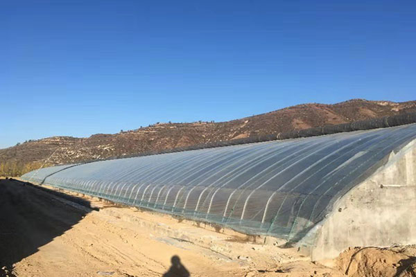 無(wú)土栽培,無(wú)土栽培技術(shù),無(wú)土栽培設(shè)備