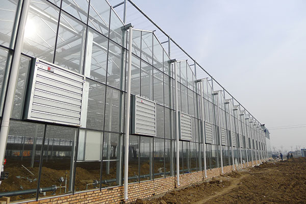 無土栽培，無土栽培技術，無土栽培設備