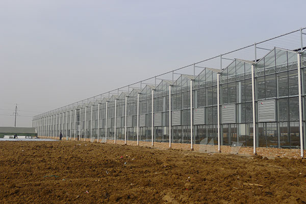 無土栽培，無土栽培技術，無土栽培設備