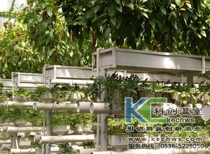 無土栽培，無土栽培技術，無土栽培設備